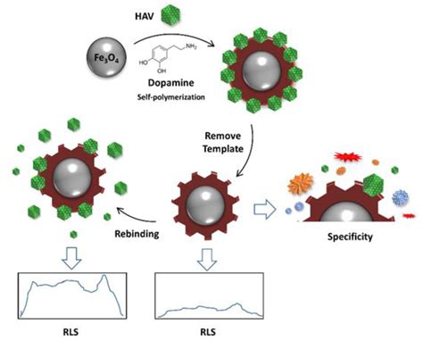 The Use of Aptamers and Molecularly Imprinted Polymers in Biosensors ...