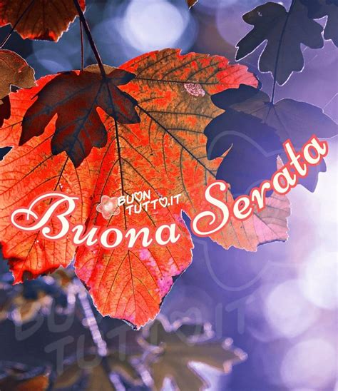 Immagini di Buona Serata - Benvenuti sul sito di BuonTutto.it