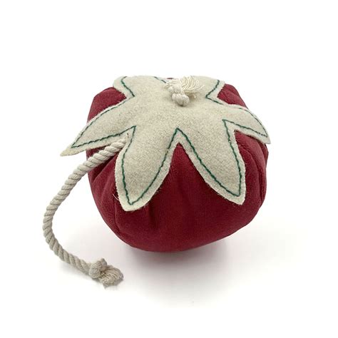 Berry Merry Strawberry Toy – Pets and People Co.