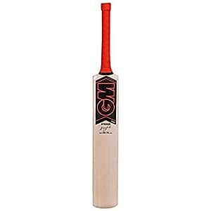 GM Mana Striker Kashmir Willow Cricket Bat Size 2 : Amazon.in: Sports ...