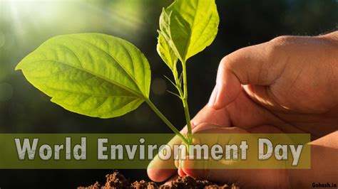 World Environment Day is celebrated on 5 June every year | Gohash