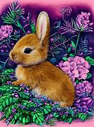 Image result for First Born Baby Rabbit