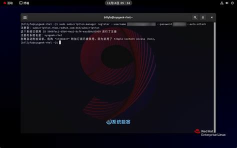Shell Script in RHEL 9 的图像结果