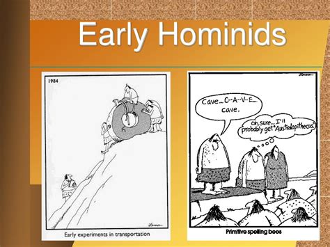 Image result for Ardipithecus Ramidus Discovery