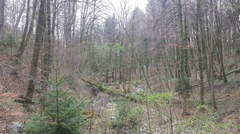 Canton of Vaud Tourism (2024): All You Need to Know Before You Go