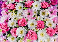 sfondo a fiori beautiful flowers background photo premium sfondo a fiori beautiful flowers background photo premium