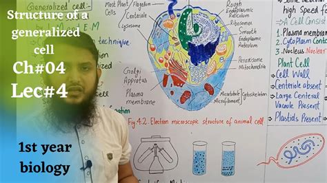 Generalized Cell Structure 的图像结果