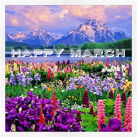 It's #March 1st! Happy March Everyone! I can't wait for #spring to ...