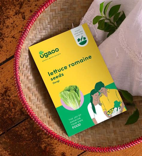 UGAOO Long Lettuce Romaine Vegetable Seeds (Green, Pack of 2g) : Amazon ...