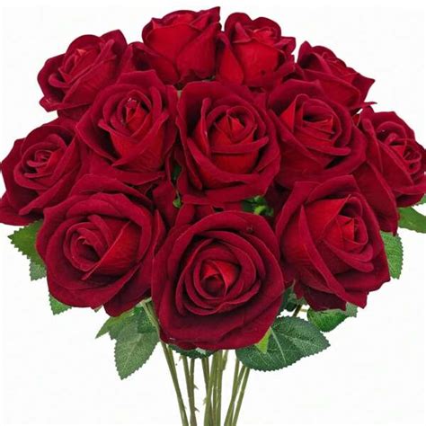 Search flowers | SHEIN USA