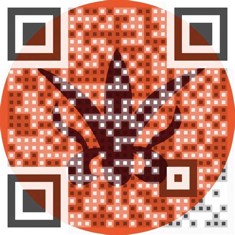 Image result for Open QR Code