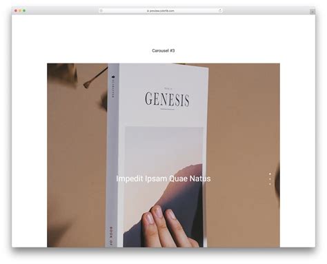 Image result for Carousel Version