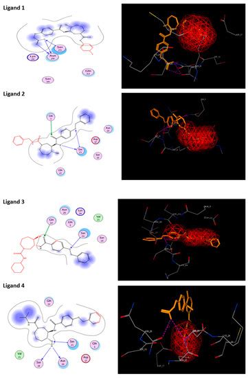 Structure Based Design and Molecular Docking Studies for Phosphorylated ...