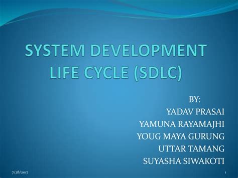 SDLC Model 的图像结果