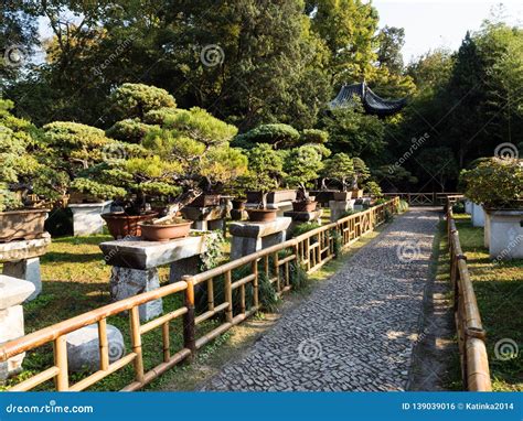 Bonsai Installation at Lingering Garden, One of the Most Famous ...