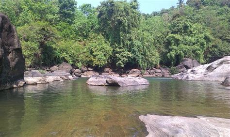 Arippara Waterfalls (Kozhikode) - 2020 What to Know Before You Go (with ...