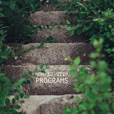 Non 12 Step Rehab Programs 的图像结果