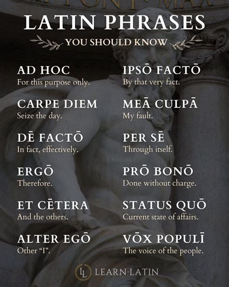 Pin by Viv Aspinall on Correctly | Latin phrases, Latin quotes, Best ...