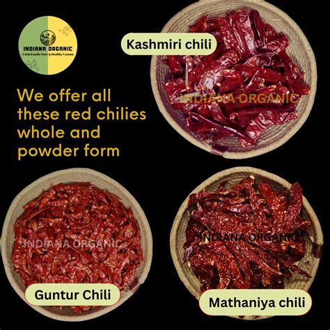 Mathania whole red chilli from Rajasthan – INDIANA ORGANIC
