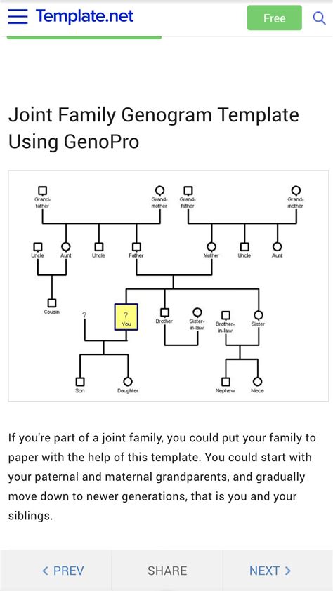 Image result for Genogram Example