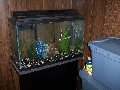 Python Aquarium System 的图像结果