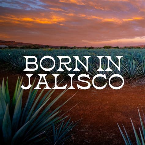 Weber Ranch Vodka (@weberranchvodka) • Instagram photos and videos