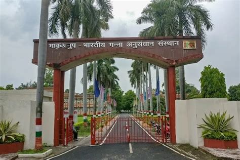Indian Institute of Sugarcane Research Lucknow Campus: Photos, Virtual Tour