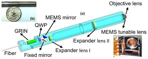 MEMS Actuators for Optical Microendoscopy
