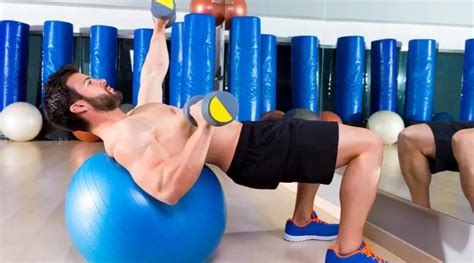 Exercise Ball Core Exercises 的图像结果