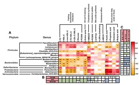 Supplementation with Natto and Red Yeast Rice Alters Gene Expressions in Cholesterol Metabolism ...
