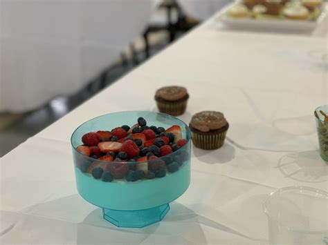 Russian Creme Dessert - A Refreshing Fruit-Custard Dessert!