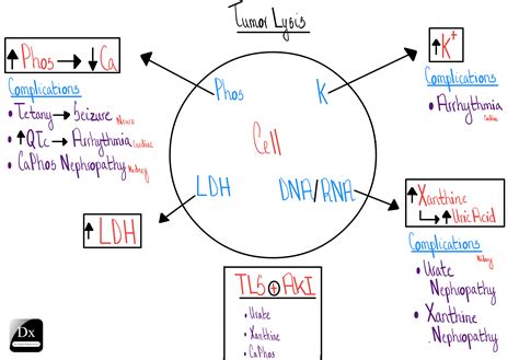 Urine Luck! (Because nothing says 'fun' like renal physiology) Jeopardy Template