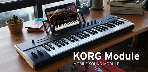 Image result for Korg Module