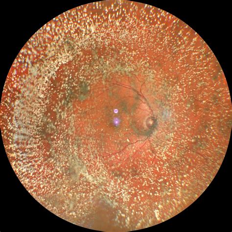 VRSI IMAGE AND VIDEO COMPETITION