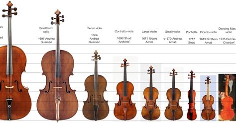 Image result for Larger String Instruments