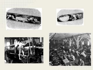 Left-Wing 1789 的图像结果