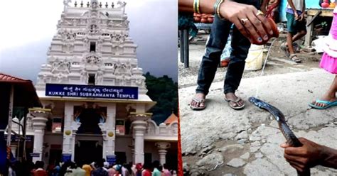 Special prayers in K'taka temple on Nag Panchami for Chandrayaan-3 ...