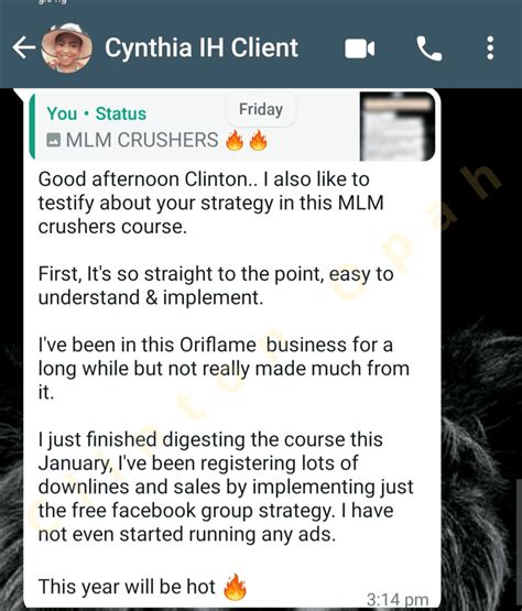 MLM Course 的图像结果