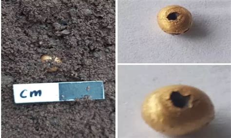 TN archaeologists ‘strike gold’ at Vembakottai excavation site in ...
