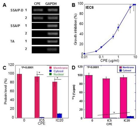 Role of Clostridium perfringens Enterotoxin on YAP Activation in ...