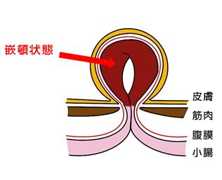 Image result for Spatial Memory Localization