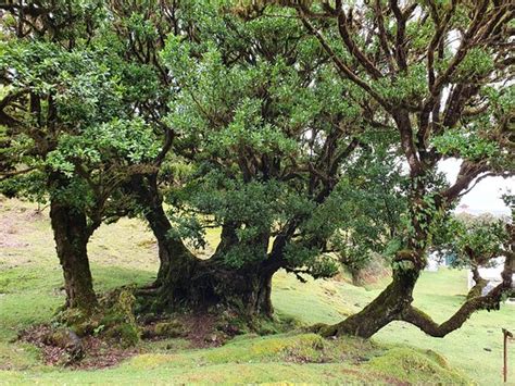 LIDO TOURS (Funchal) - 2022 What to Know Before You Go
