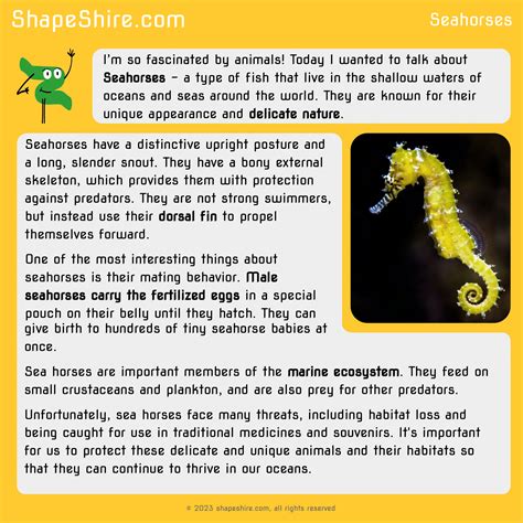 Seahorse Information For Kids