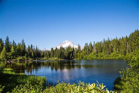 Mt Hood Village Campground | RV Resorts in Oregon