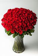 Image result for Cheap Red Roses