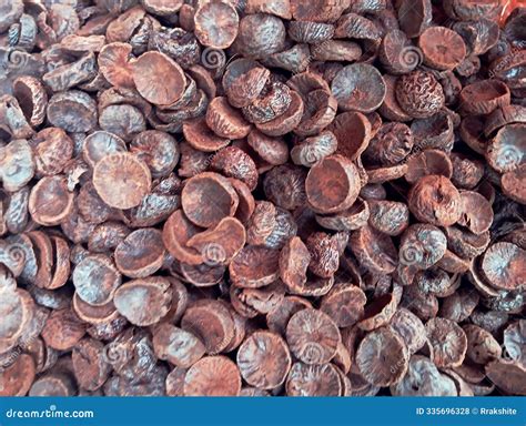 Betel Nut Pieces.Background Texture. Cup Shape Areca Nut. Stock Photo ...