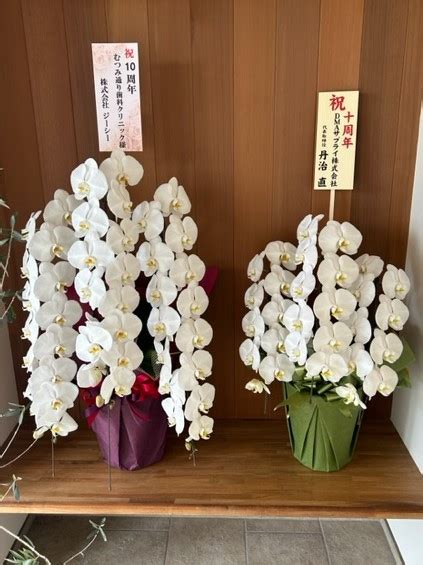 Comparing Algorithm Example に対する画像結果