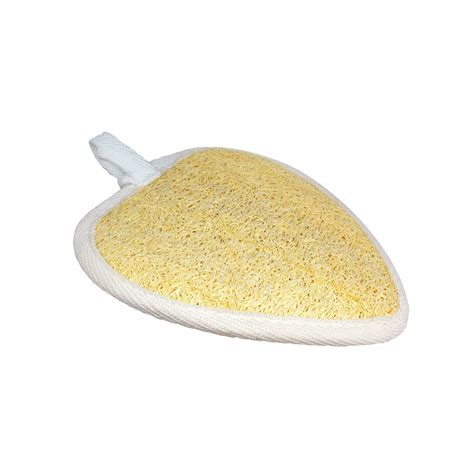 Buy Vega Loofah Pad, Small Online at Low Prices in India - Amazon.in