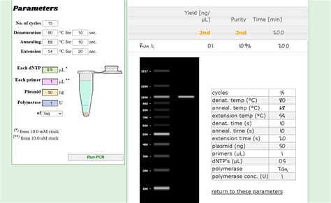Virtual PCR Simulator 的图像结果