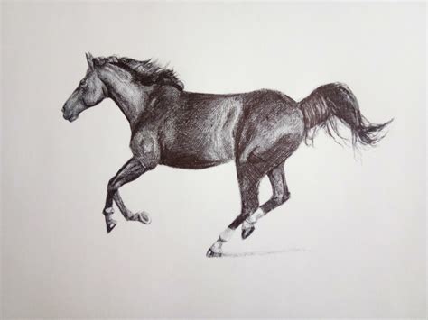 Horse, art by me, pen and ink, 2022. : r/Art